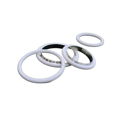 O-ring FFKM Perfluorurato Resistente agli Amine Personalizzato con Durezza 70 Shore A e Resistenza allo Strappo