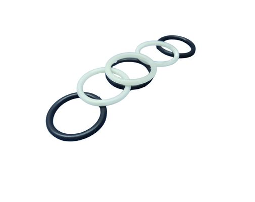 20Mpa Resistenza alla trazione FFKM O Anelli con resistenza all'invecchiamento e resistenza alle temperature estreme per ambienti difficili